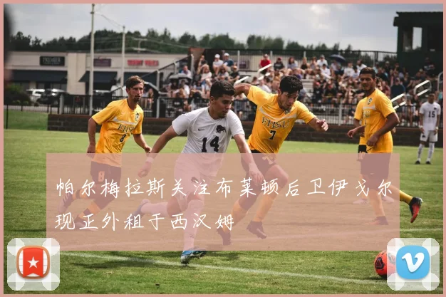 帕尔梅拉斯关注布莱顿后卫伊戈尔现正外租于西汉姆